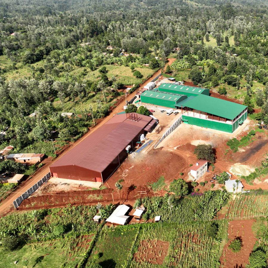 LIMBUA Macadamia Facility