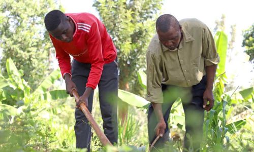 Kenyan farmers working in the fields