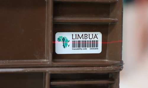 LIMBUA Company Profile: Digitalization & Sustainability