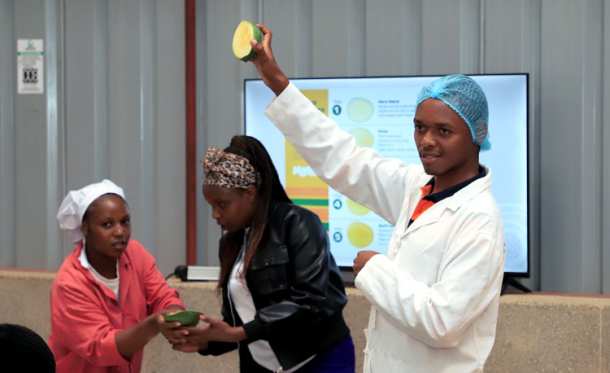 Mango Training 2026