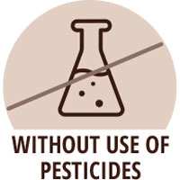 no pesticides