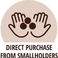 direct purchase smallholders