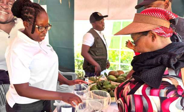 LIMBUA at ASK Show and KALRO Open Week