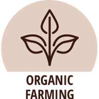 organic farming