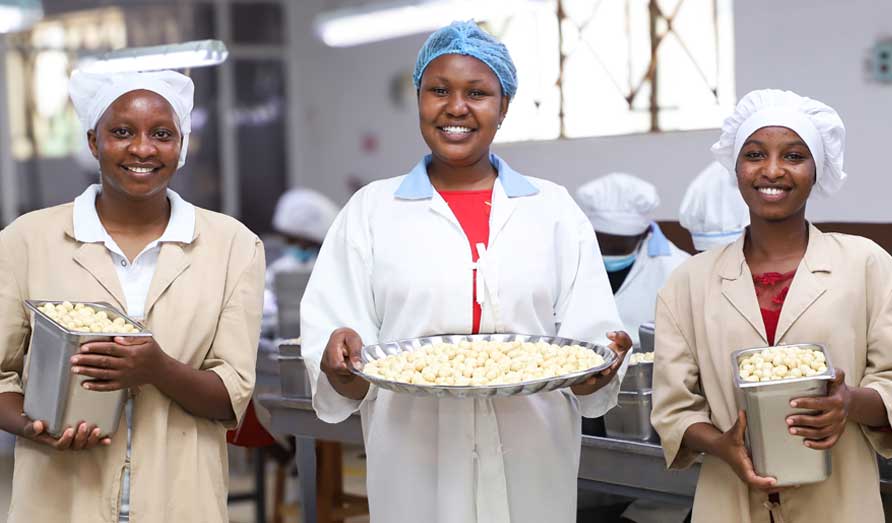 LIMBUA Macadamia Produktion Sortierung