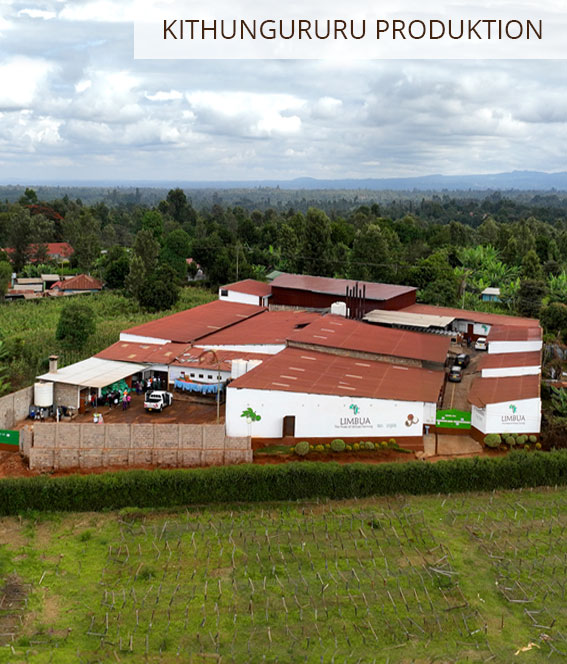 Kithungururu LIMBUA Produktion