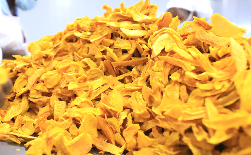 Mango Production