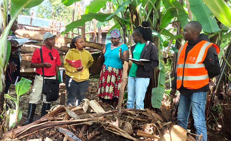 Kompostkontrolle während eines Zertifizierungsaudits Auditoren und LIMBUA Team prüfen Kompostierung und Bodenmanagement auf einer Kleinbauernfarm in Kenia