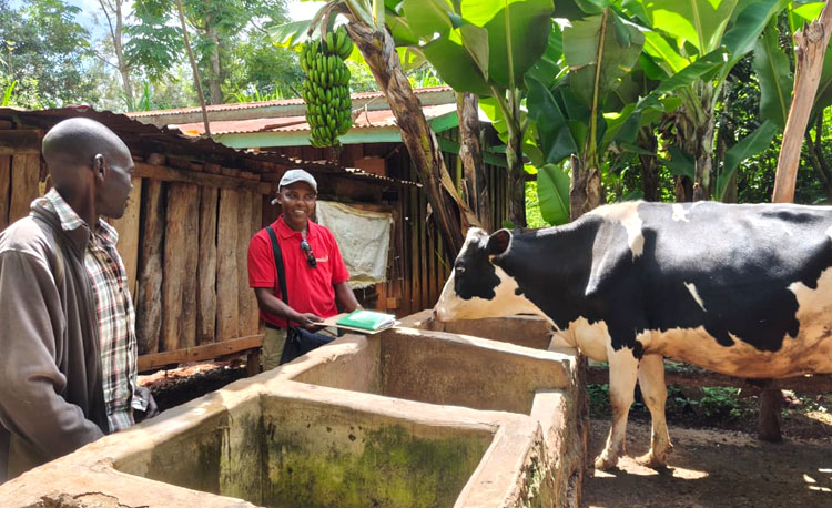 Externer Auditor kontrolliert Tierhaltung Externer Auditor kontrolliert Tierhaltung