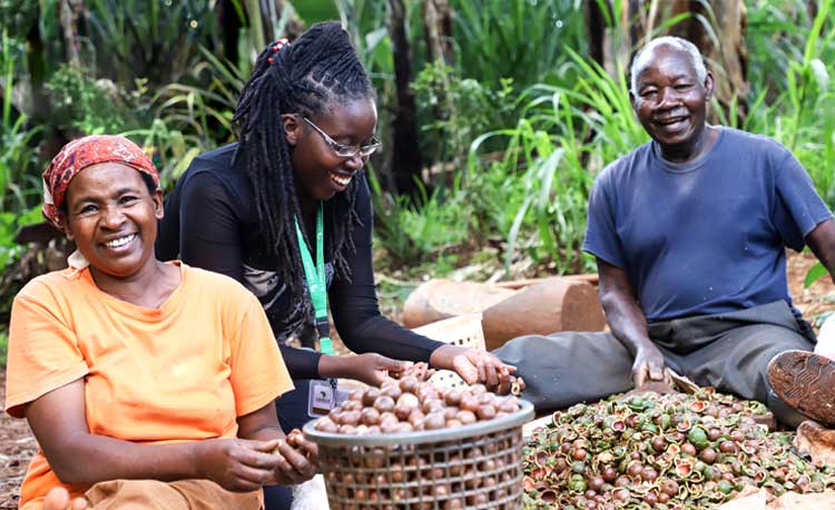 LIMBUA Field Officer berät Kleinbäuerin LIMBUA Field Officer berät Kleinbäuerin
