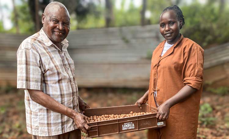 LIMBUA Agrar Team beim Macadamia Einkauf LIMBUA Agrar Team beim Macadamia Einkauf