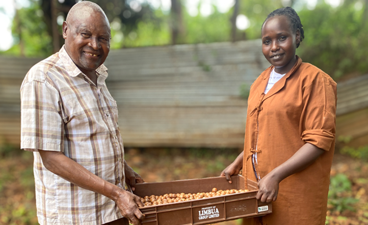 Stable partnerships are essential.