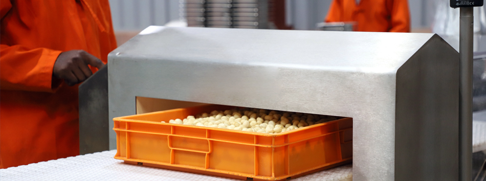 Food Safety metal detector