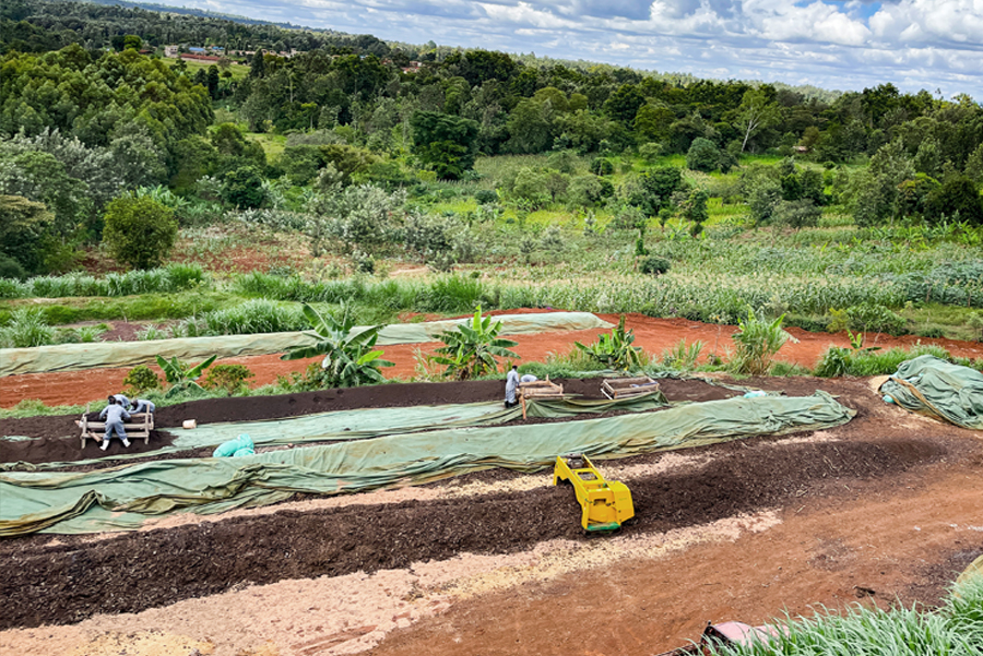 LIMBUA compost in Ena