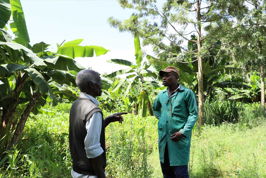 Small farmer conversation