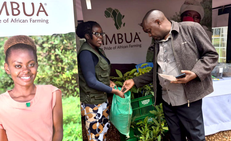 Vorstellung von Frass als organischem Dünger