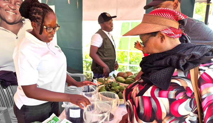 Vorstellung von Bio-Kompost (Rotuba Tosha)