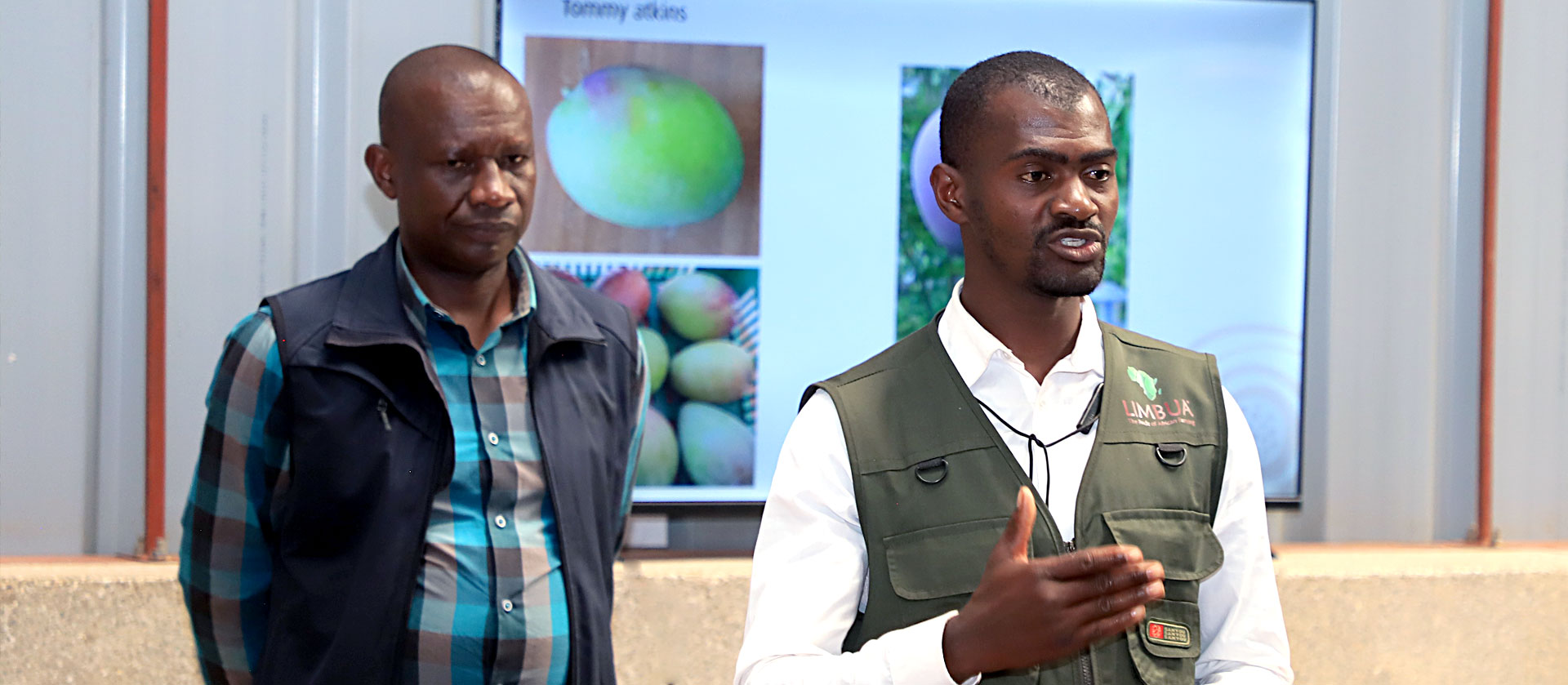 LIMBUA Mango Training 2026