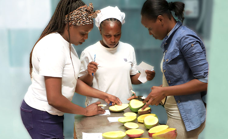 Schulung direkt mit der Frucht