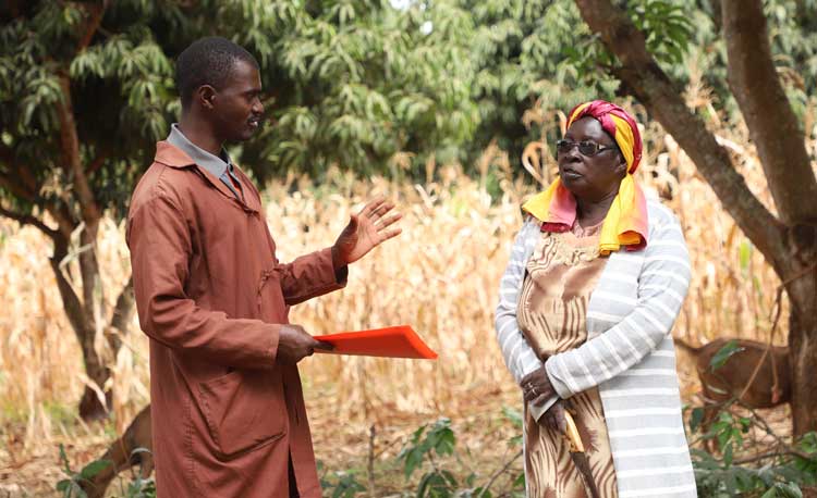 LIMBUA Field Officer speaking with a smallholder farmer