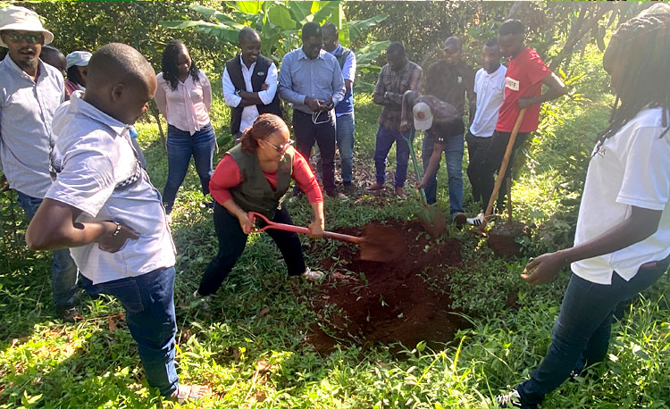 Praktische Arbeit mit dem LIMBUA Agrar-Team Mitglieder des LIMBUA Agrar-Teams arbeiten gemeinsam auf einer Farm in Kenia