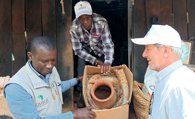 Biodynamische Präparate auf einer Farm in Kenia Einblick in die Herstellung und Anwendung biodynamischer Präparate im kleinbäuerlichen Kontext