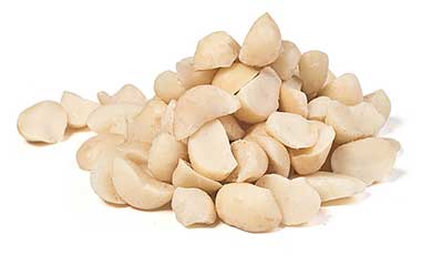 macadamia nuts for food processing