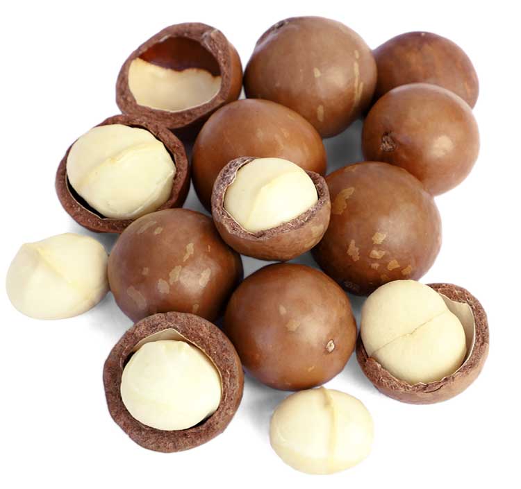 How healthy is the macadamia nut?