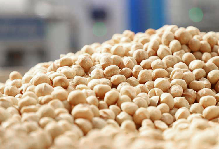 Bio Macadamia Nüsse mit Infrarot-Technologie rösten