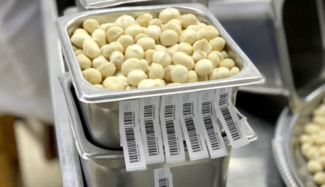 Digitale Rückverfolgbarkeit Macadamia Digitale Rückverfolgbarkeit der Bio Macadamia in allen Produktionsschritten