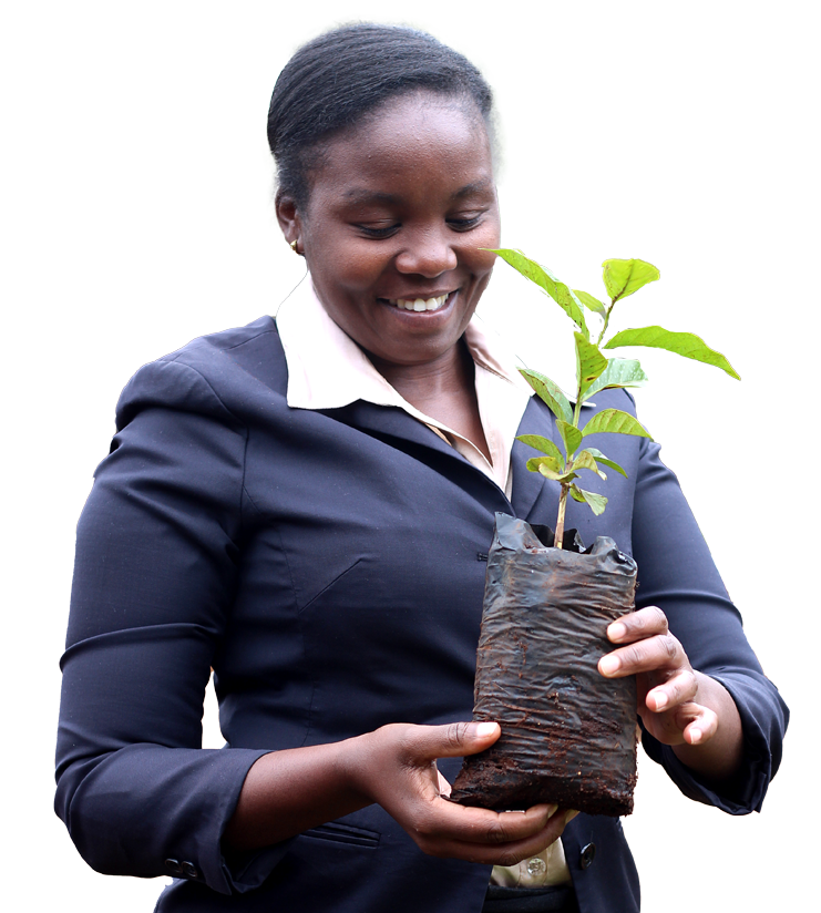 Nursery Manager Regina