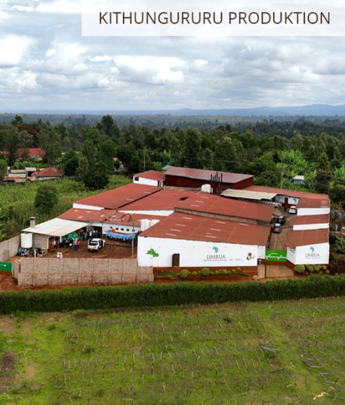 Kithungururu LIMBUA Produktion