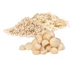 Macadamia Nuss Größen