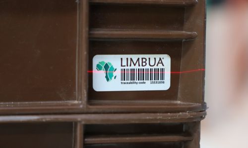 LIMBUA Unternehmensportrait Digitalisierung & Nachhaltigkeit