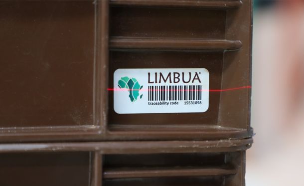 LIMBUA Company Profile: Digitalization & Sustainability