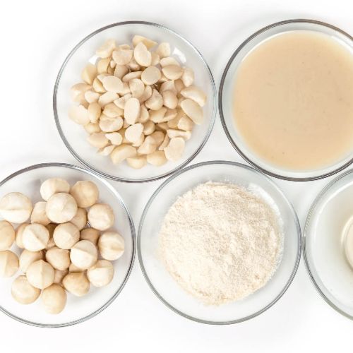 Bio-Macadamia-Nüsse zur Weiterverarbeitung