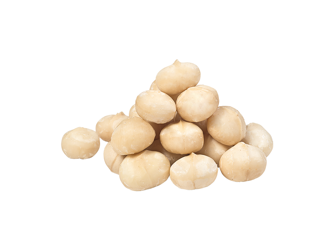 Premium Macadamia Nuts