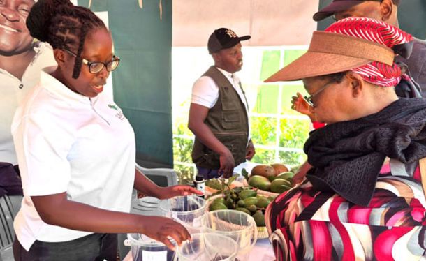 LIMBUA at ASK Show and KALRO Open Week