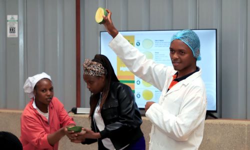 Mango-Training 2026