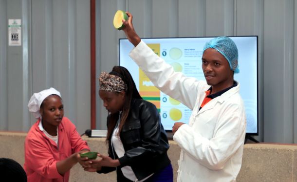 Mango Training 2026