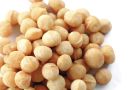Bio Macadamia Nüsse geröstet