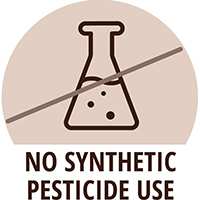 no synthetic pesticide use