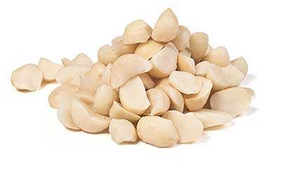 macadamia nuts for food processing