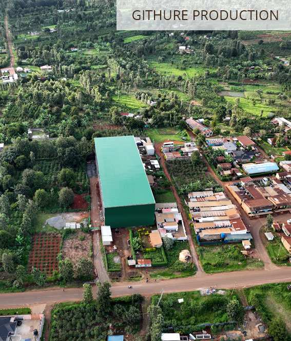 Githure LIMBUA Production