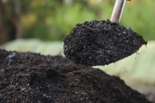 Organic compost