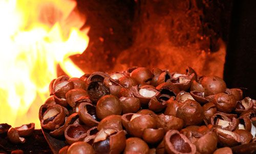 Burning macadamia shells