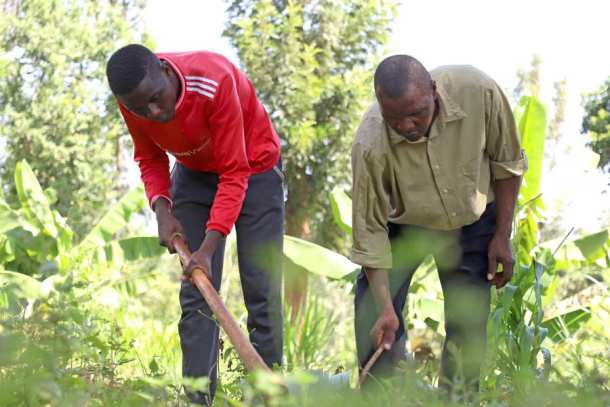 Soil health