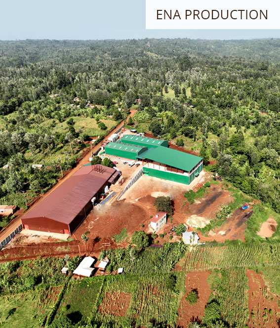 Ena LIMBUA Production facility