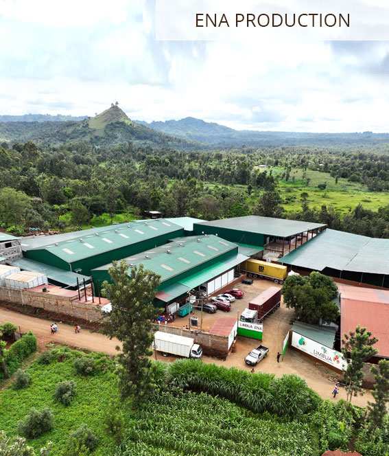 Ena LIMBUA Production facility