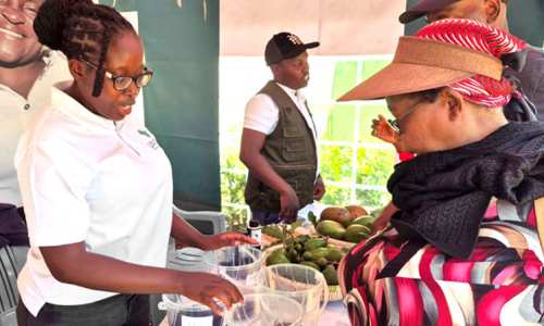 LIMBUA at ASK Show and KALRO Open Week